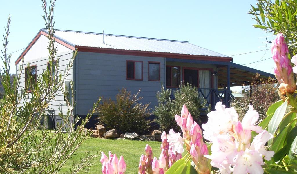 Highland Cabins And Cottages At Bronte Park الغرفة الصورة